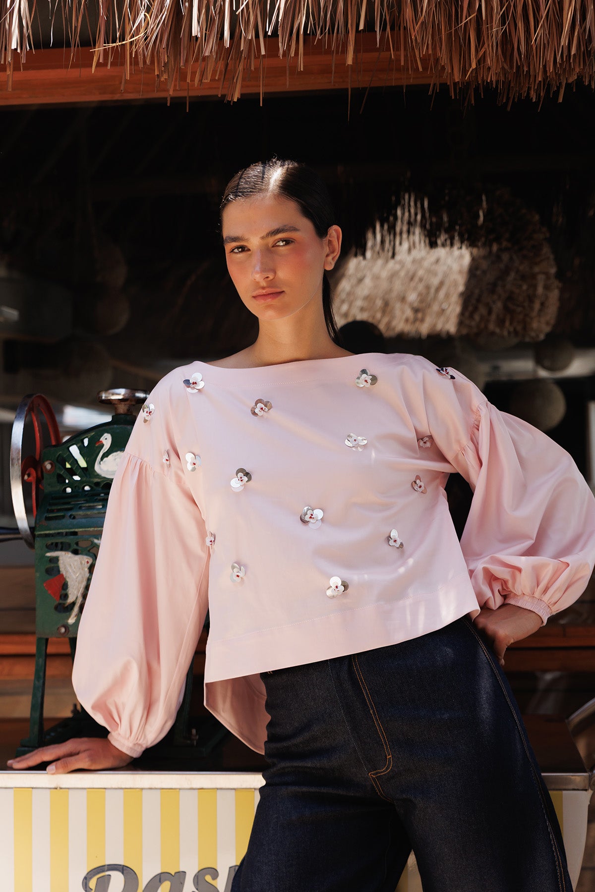 Blusa Algodon Con Recamados